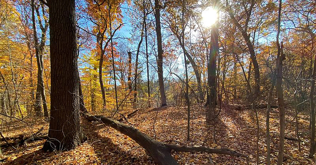 Friendship Botanic Gardens, Pottawattamie Park, Indiana