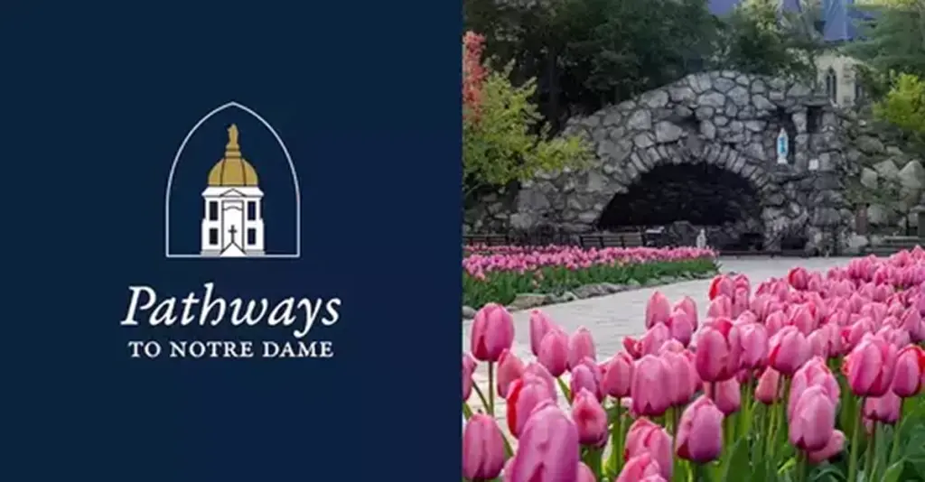 Pathways to ND